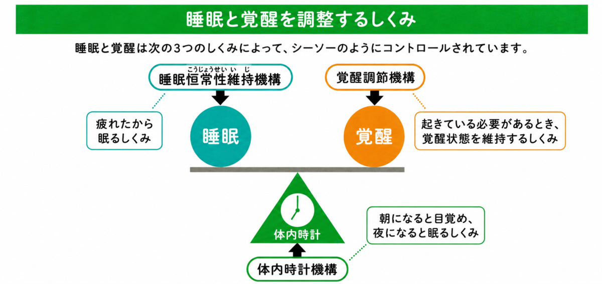 睡眠覚醒リズムの図