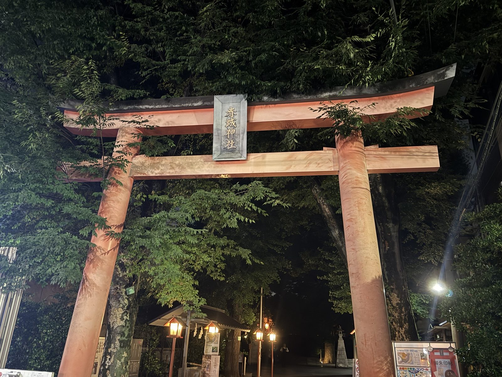 夜の赤城神社の大鳥居。ライトアップされ、奥の参道に灯りがともっている