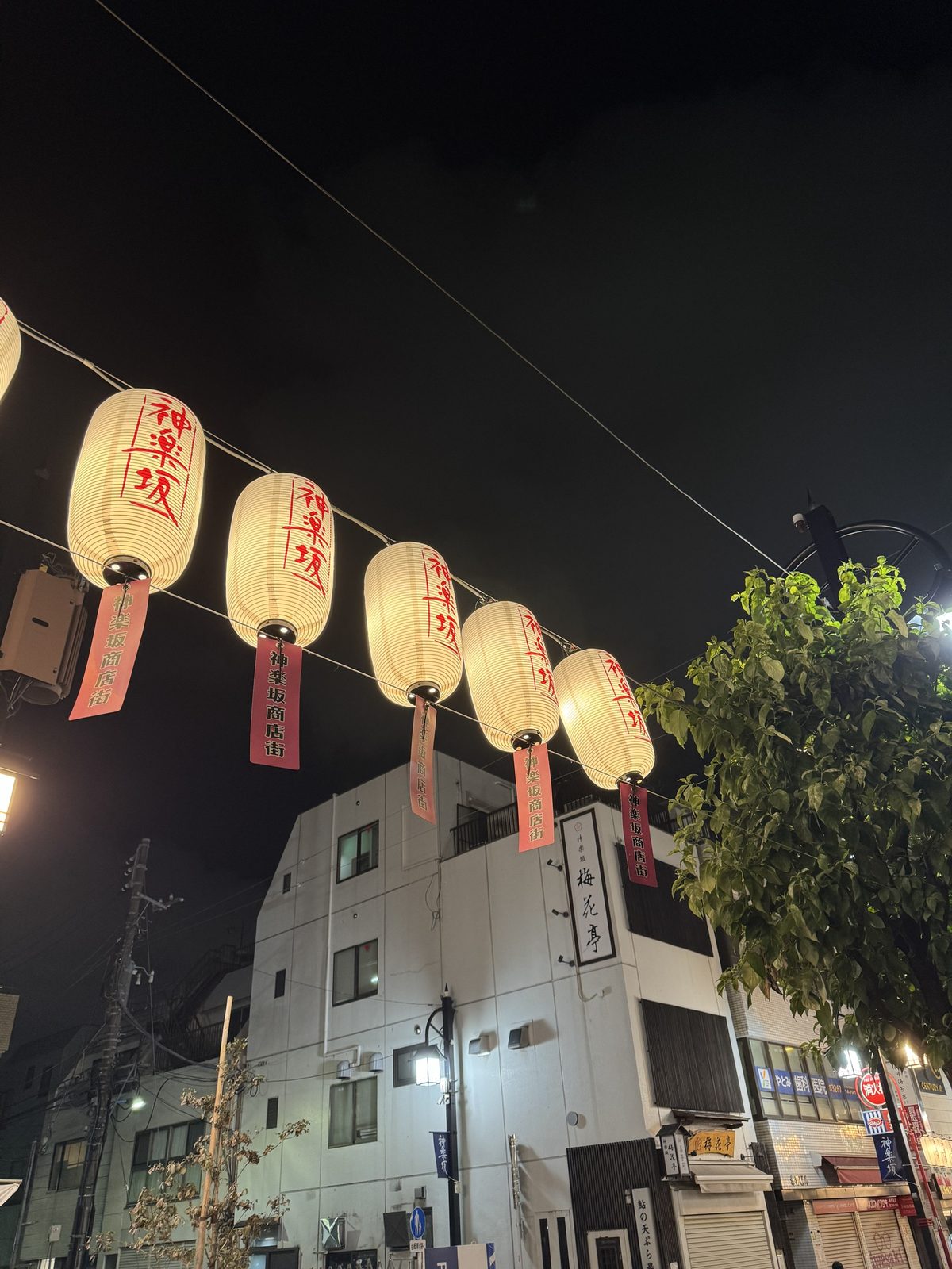 夜の神楽坂通りに連なる「神楽坂」の文字が入った提灯